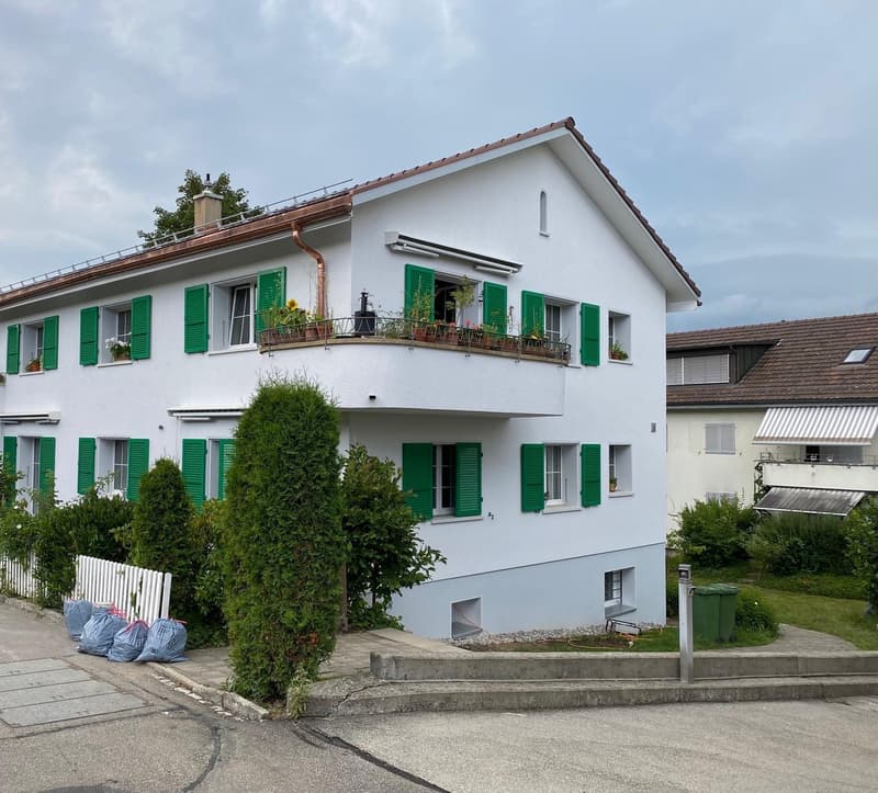 Schön sanierte 3.5 Zimmerwohnung im Grünen (11)