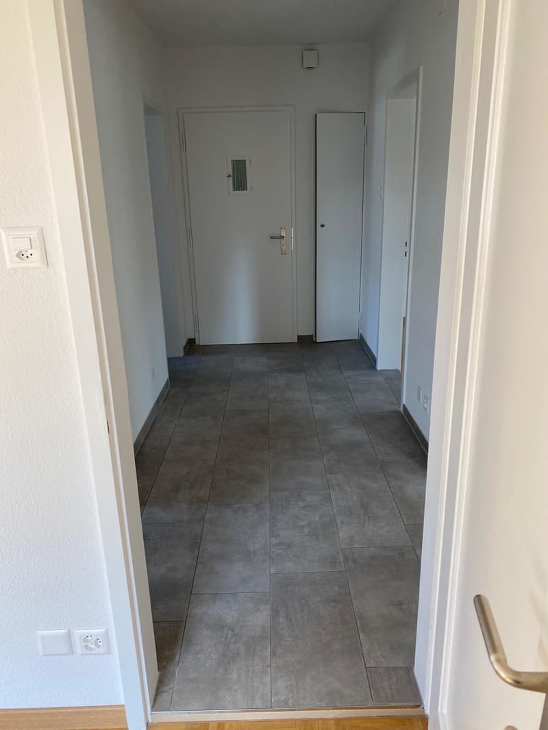 Schön sanierte 3.5 Zimmerwohnung im Grünen (10)
