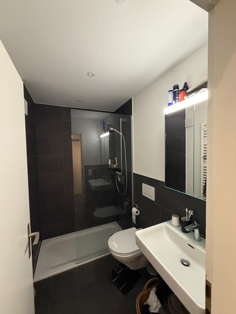 WG Zimmer in 3.5 Zimmer Wohnung (6)