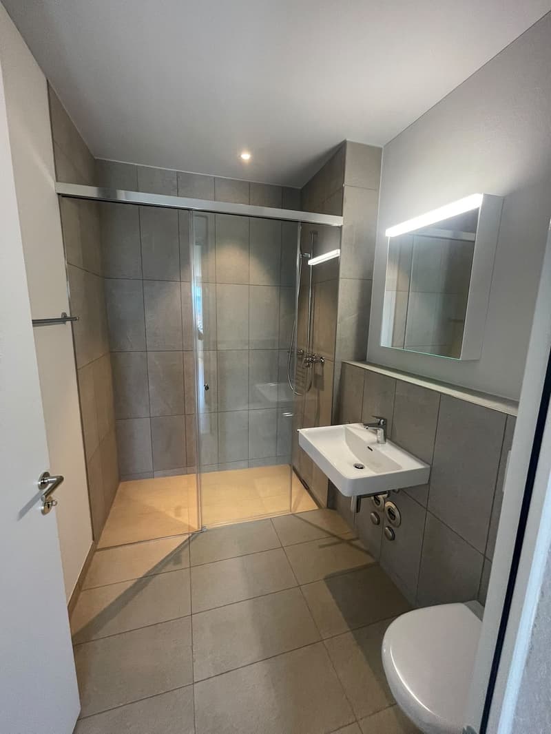 Nachmieter gesucht  2.5-Zimmer-Wohnung am Bahnhof Horgen Oberdorf (5)