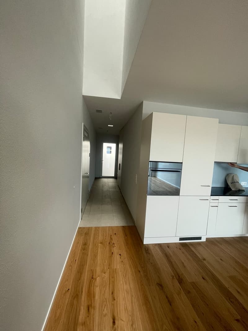 Nachmieter gesucht  2.5-Zimmer-Wohnung am Bahnhof Horgen Oberdorf (3)