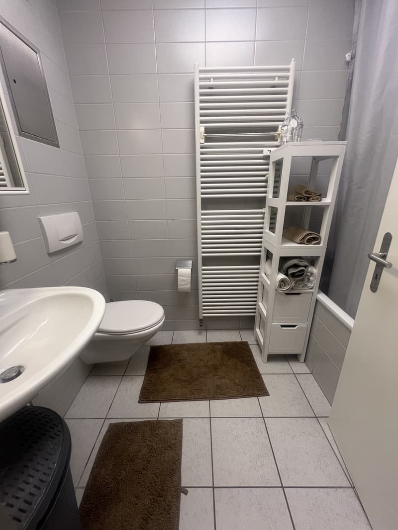 Nachmieter/in gesucht  2.5-Zimmer-Wohnung in Pratteln (8)