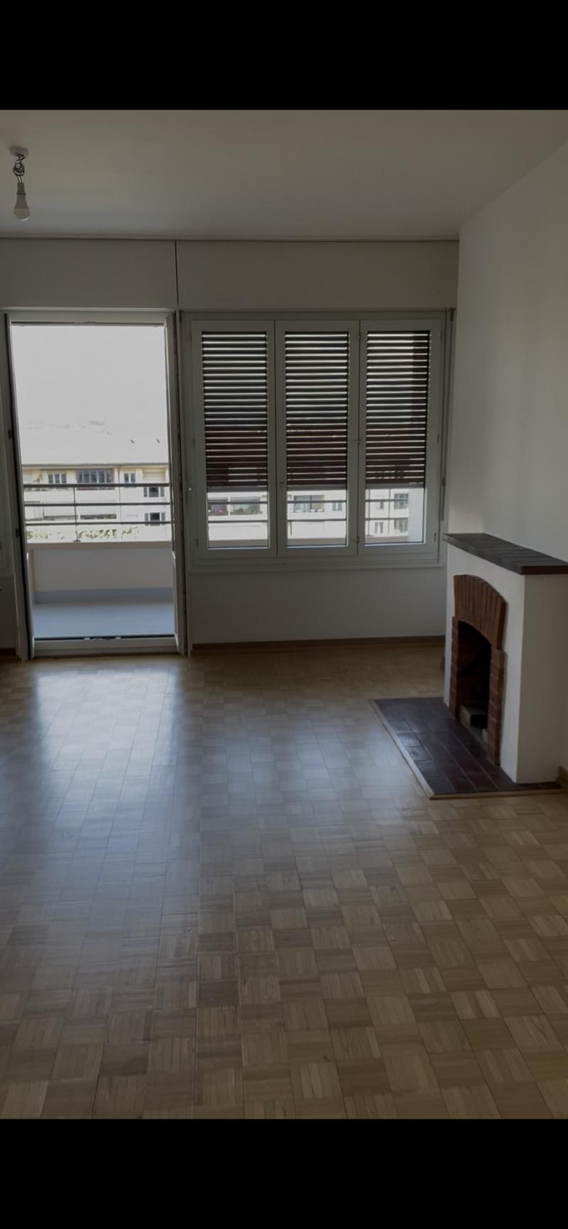 Appartement vue Mont Blanc proche au Cornavin et Nations (1)