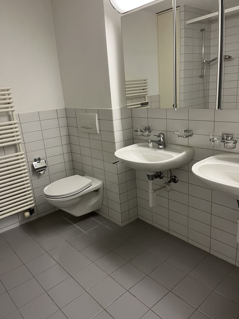 3-Zimmerwohnung an zentraler und ruhiger Lage in Oberwinterthur (2)