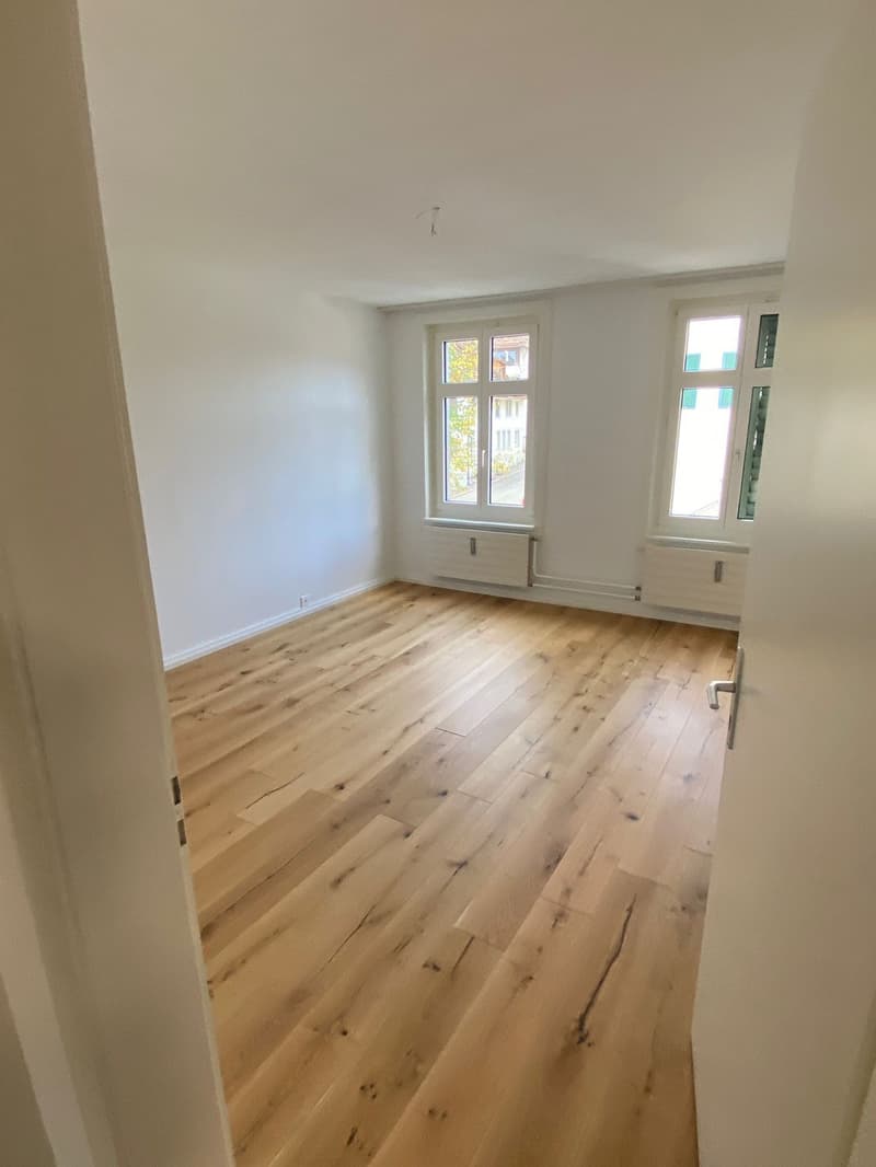 3-Zimmerwohnung an zentraler und ruhiger Lage in Oberwinterthur (4)