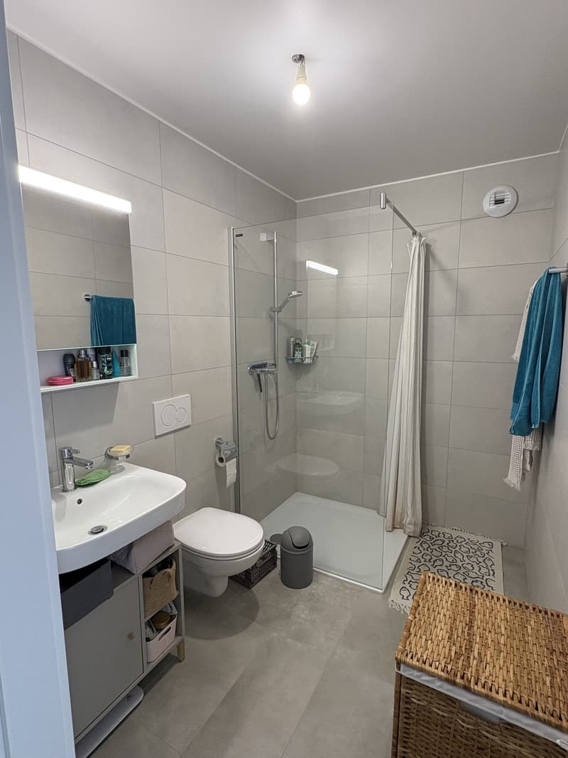 Beau Loft au 6ème étage - Rue de la Borde 17, à Lausanne (6)