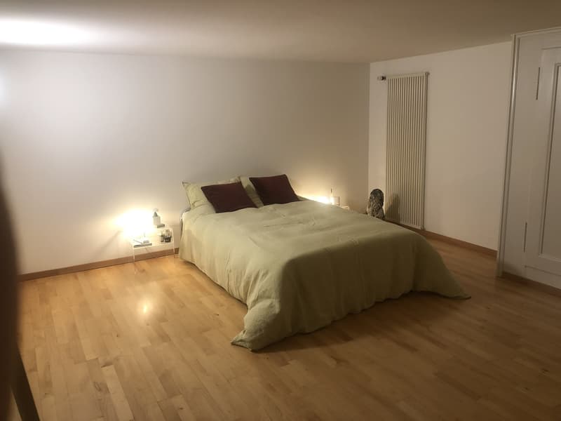 WG Zimmer mitten in der Berner Altstadt (12)