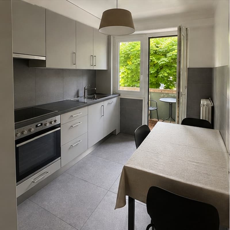 Reprise de bail / Lease Takeover Appartement 2.5 pièces / 2.5-Room Apartment (1)
