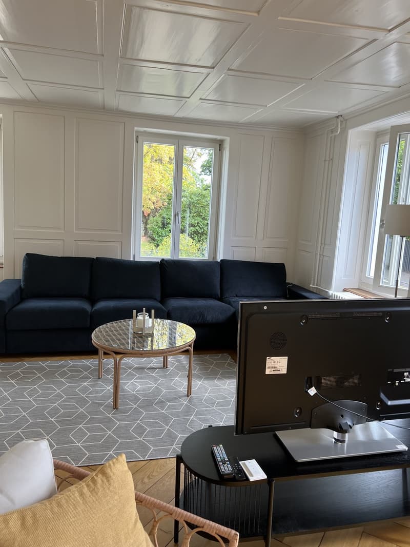 Helles Zimmer in schöner 3,5 Zimmer-Wohnung - ruhige & positive Atmosphäre (1)