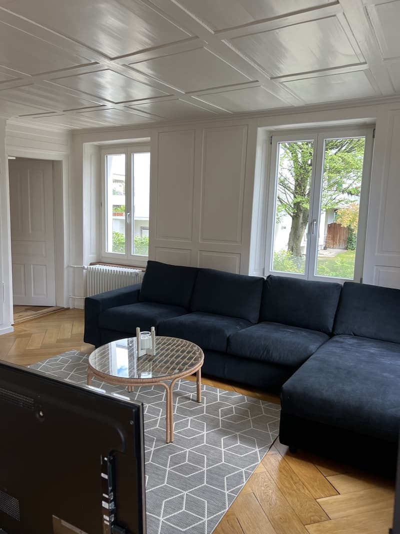 Helles Zimmer in schöner 3,5 Zimmer-Wohnung - ruhige & positive Atmosphäre (3)