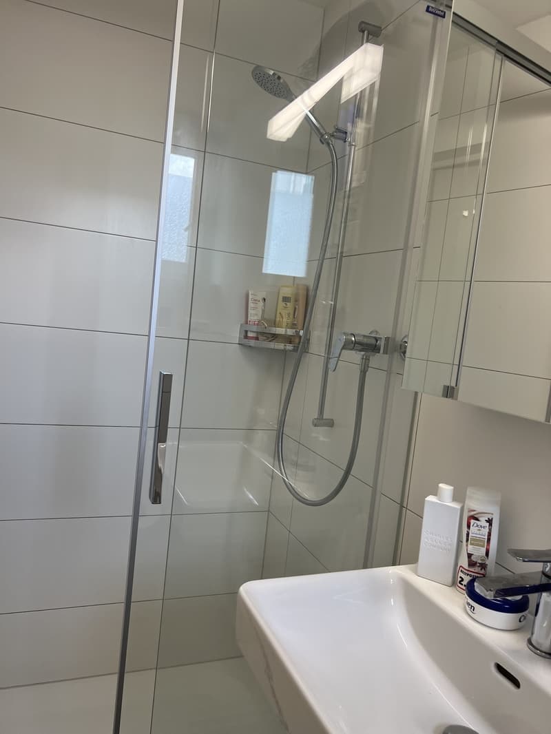 Helles Zimmer in schöner 3,5 Zimmer-Wohnung - ruhige & positive Atmosphäre (2)