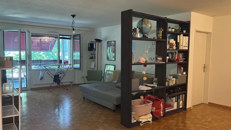 Shared Room in Schlieren (5)