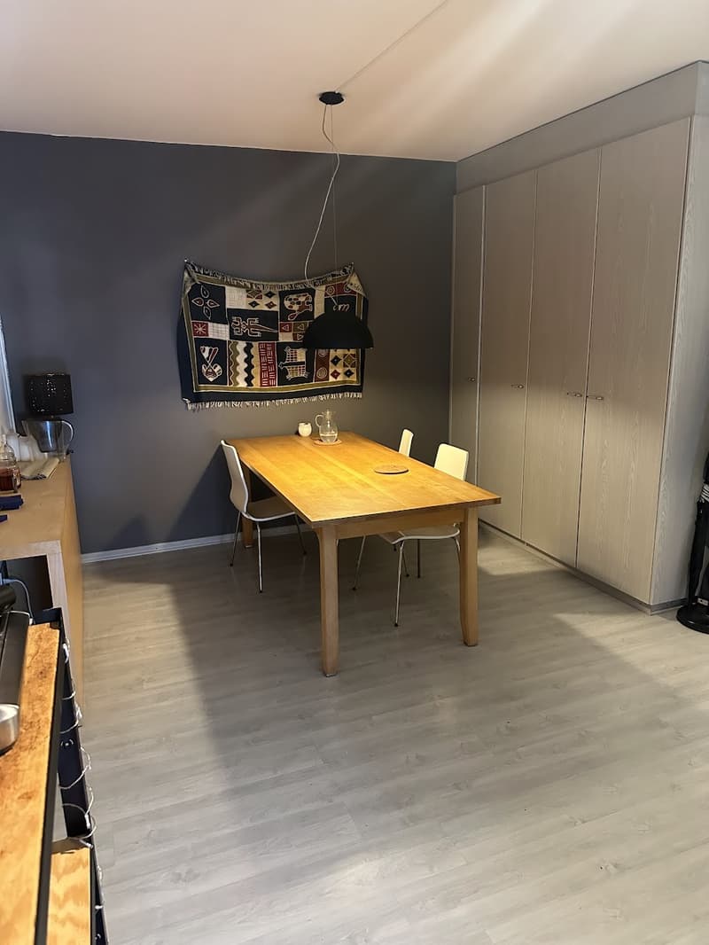 3.5-Zimmer-Wohnung ab Oktober zu vermieten (4)