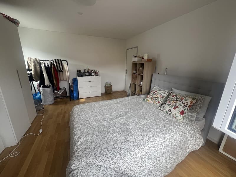 Room available in Zurich City (4)