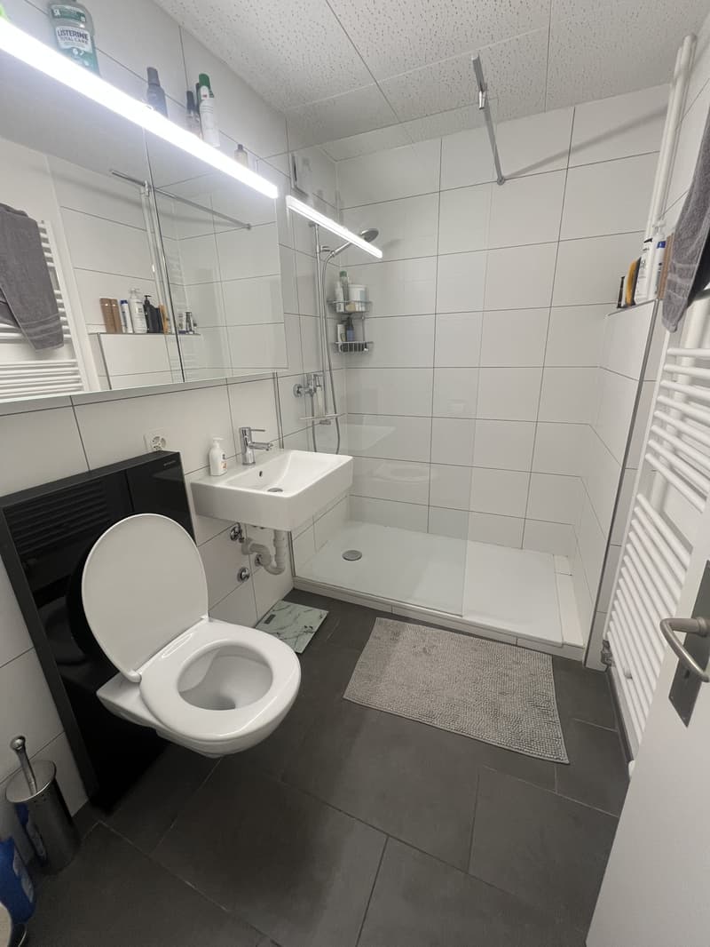Room available in Zurich City (12)