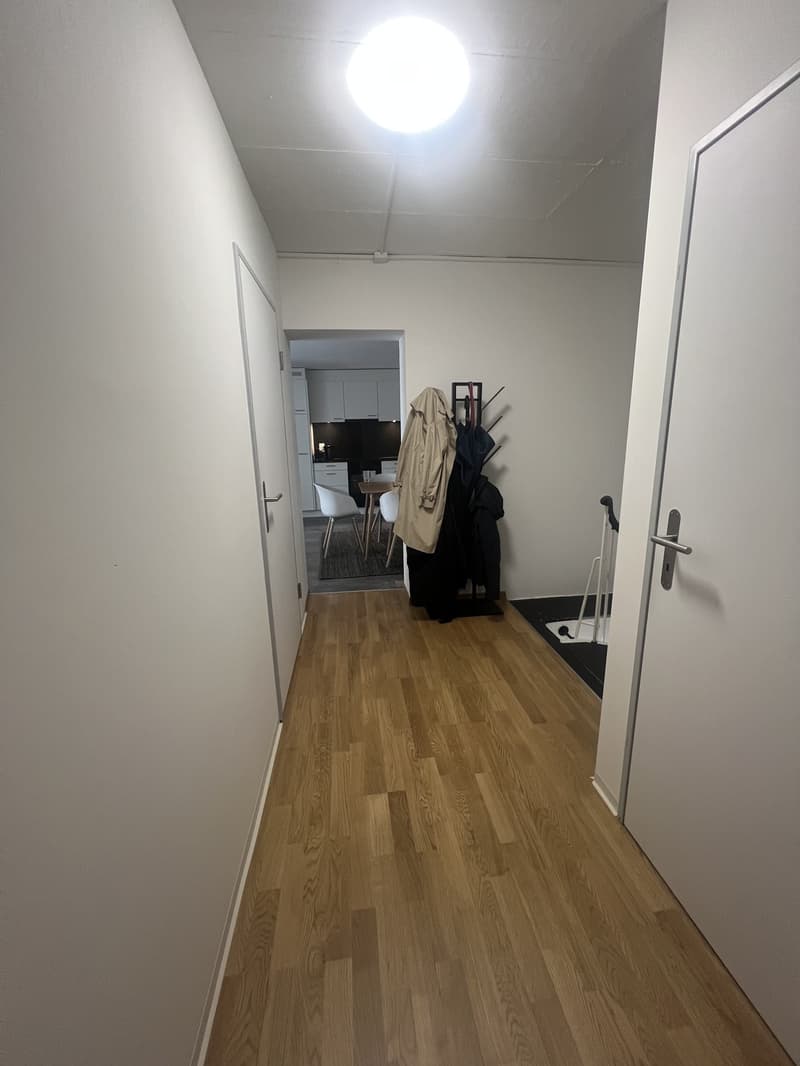 Room available in Zurich City (6)