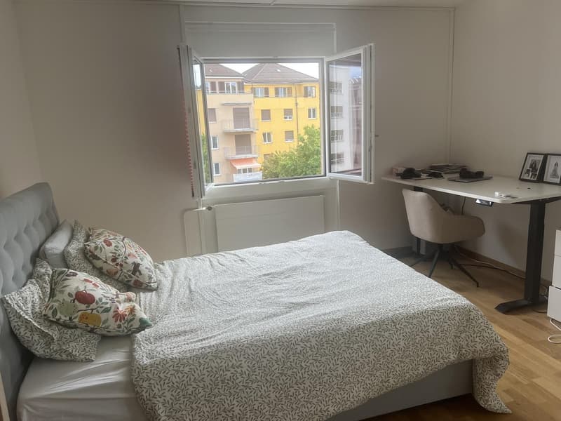 Room available in Zurich City (2)