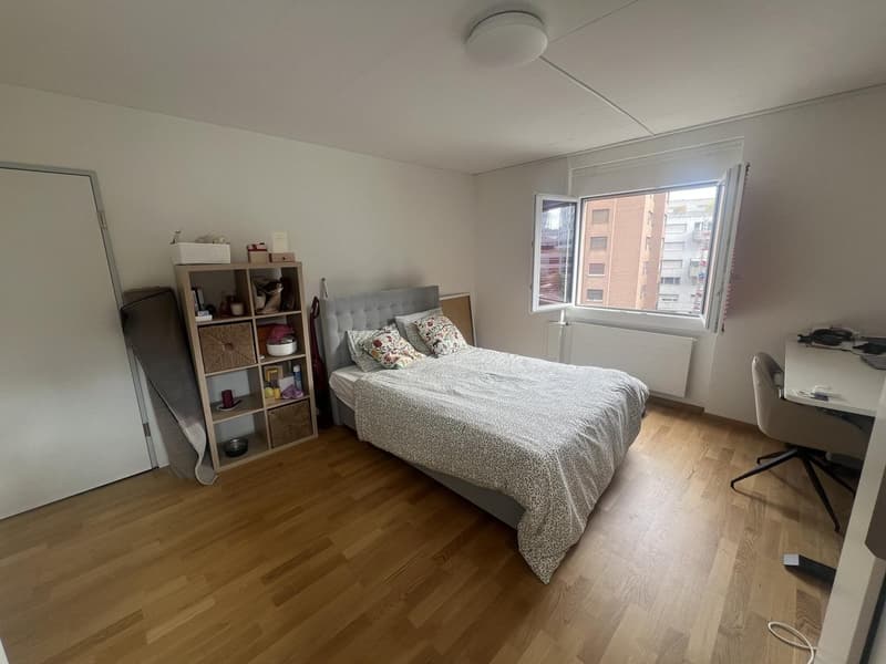 Room available in Zurich City (5)