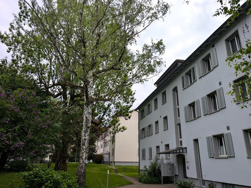 Die Liegenschaft im Grünen
