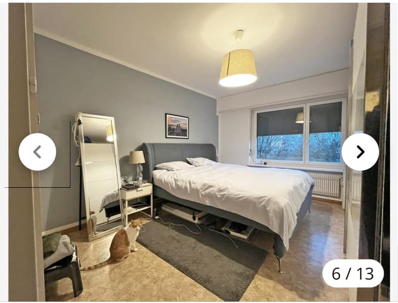 Helle 4 Zimmer-Wohnung mit Balkon in Bülach (11)