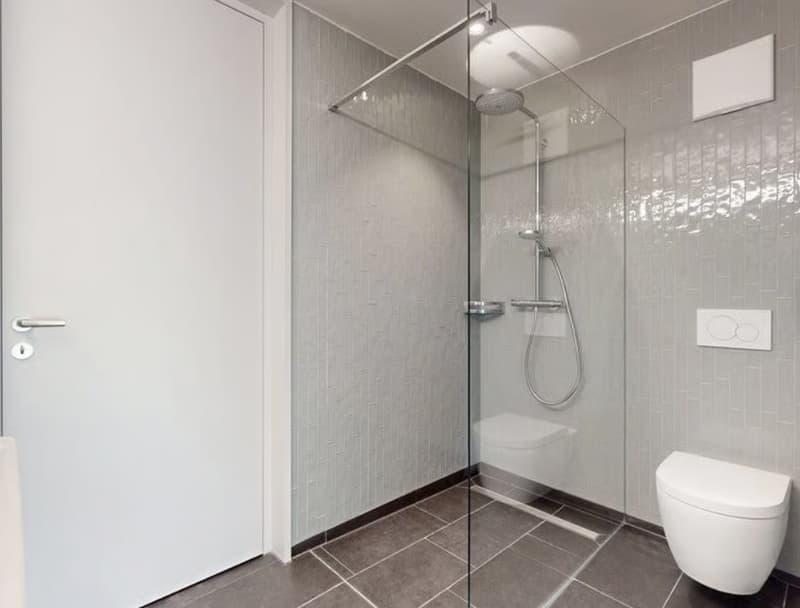2.5 Zimmer Wohnung Neubau (4)