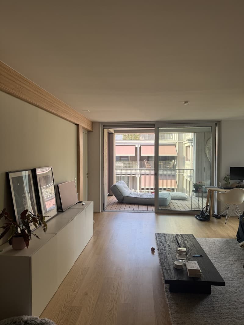 2.5 Zimmer Wohnung Neubau (2)