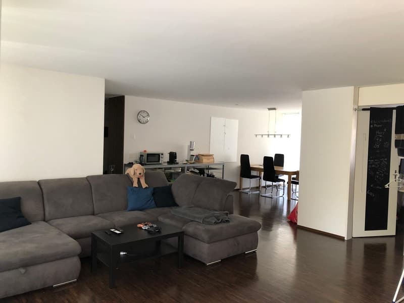 WG Zimmer, 8400 Winterthur (2)