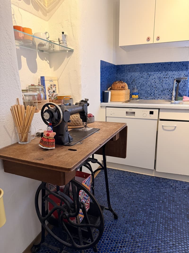 Only for 3 months: Bright Apt in Kreis 4 (Europaallee) (8)