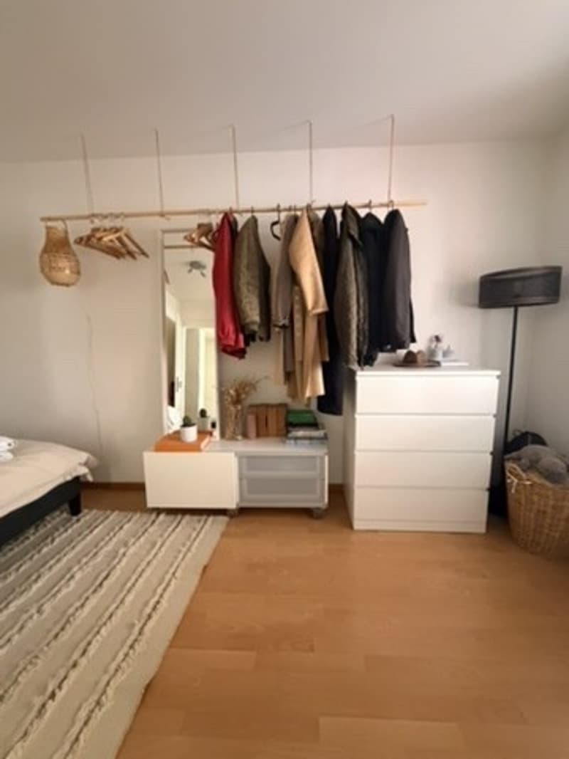 Only for 3 months: Bright Apt in Kreis 4 (Europaallee) (3)