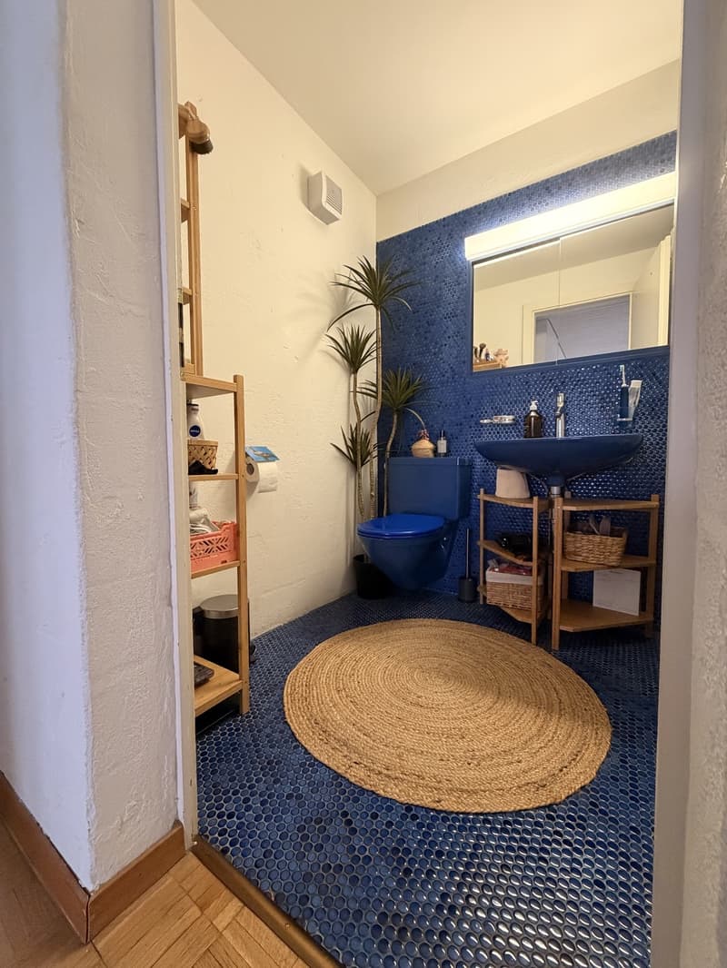 Only for 3 months: Bright Apt in Kreis 4 (Europaallee) (9)