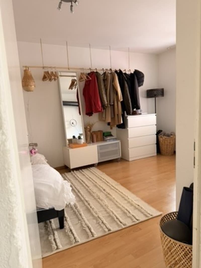 Only for 3 months: Bright Apt in Kreis 4 (Europaallee) (4)