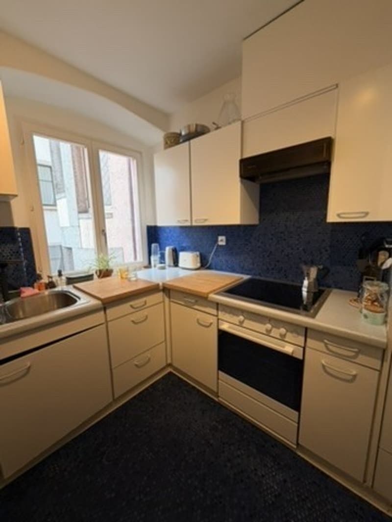 Only for 3 months: Bright Apt in Kreis 4 (Europaallee) (7)
