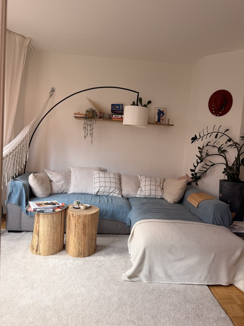 Only for 3 months: Bright Apt in Kreis 4 (Europaallee) (2)