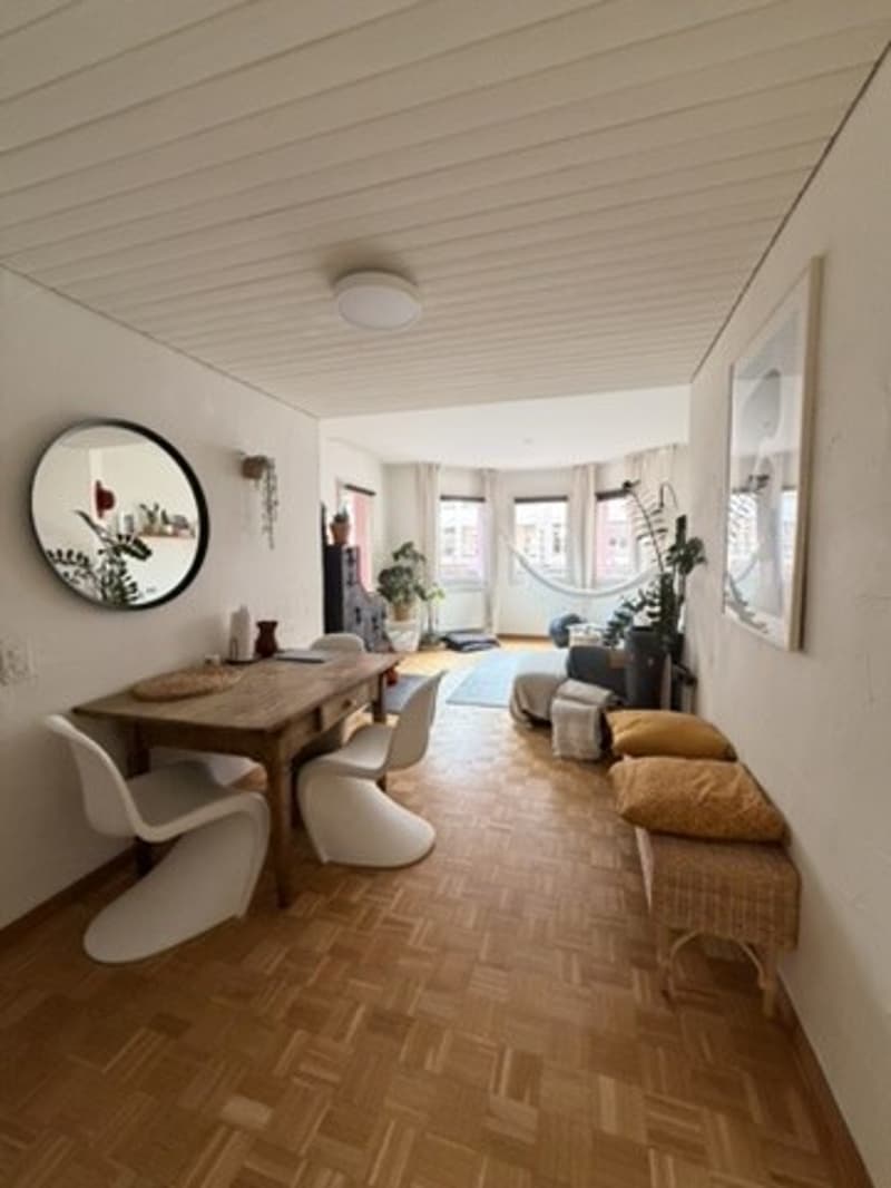 Only for 3 months: Bright Apt in Kreis 4 (Europaallee) (5)