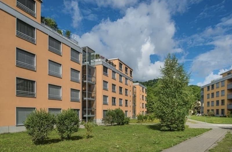 3 ½ Zimmer-Wohnung, 5430 Wettingen (2)