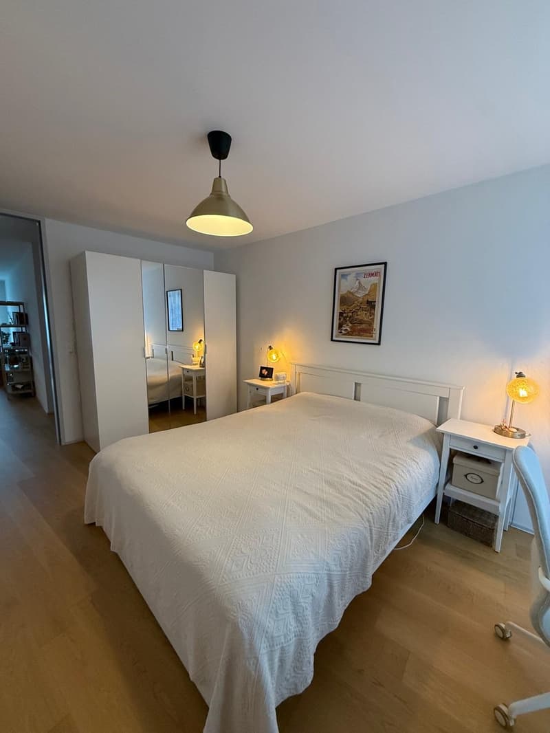 Beautiful 3.5 room apartment in Leimbach - book your spot at the viewing using the link in the description (5)