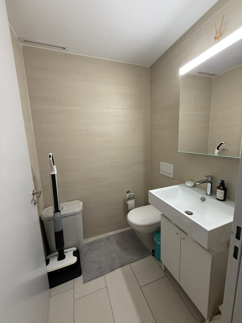 Beautiful 3.5 room apartment in Leimbach - book your spot at the viewing using the link in the description (6)