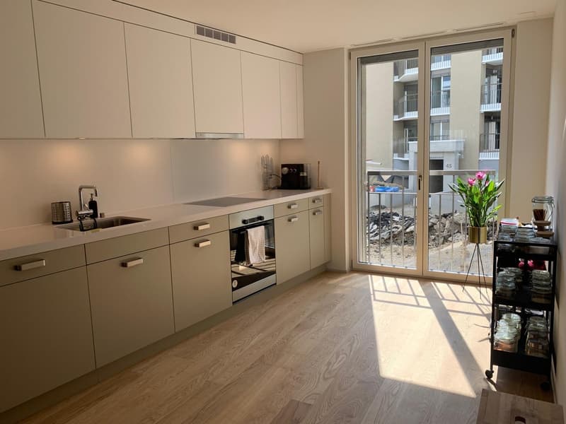 Beautiful 3.5 room apartment in Leimbach - book your spot at the viewing using the link in the description (10)