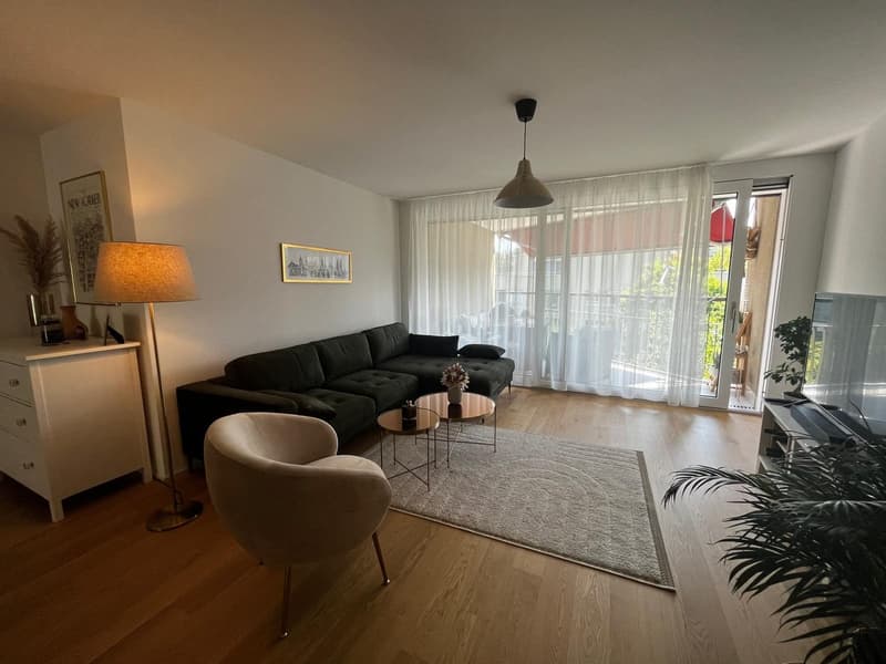 Beautiful 3.5 room apartment in Leimbach - book your spot at the viewing using the link in the description (3)