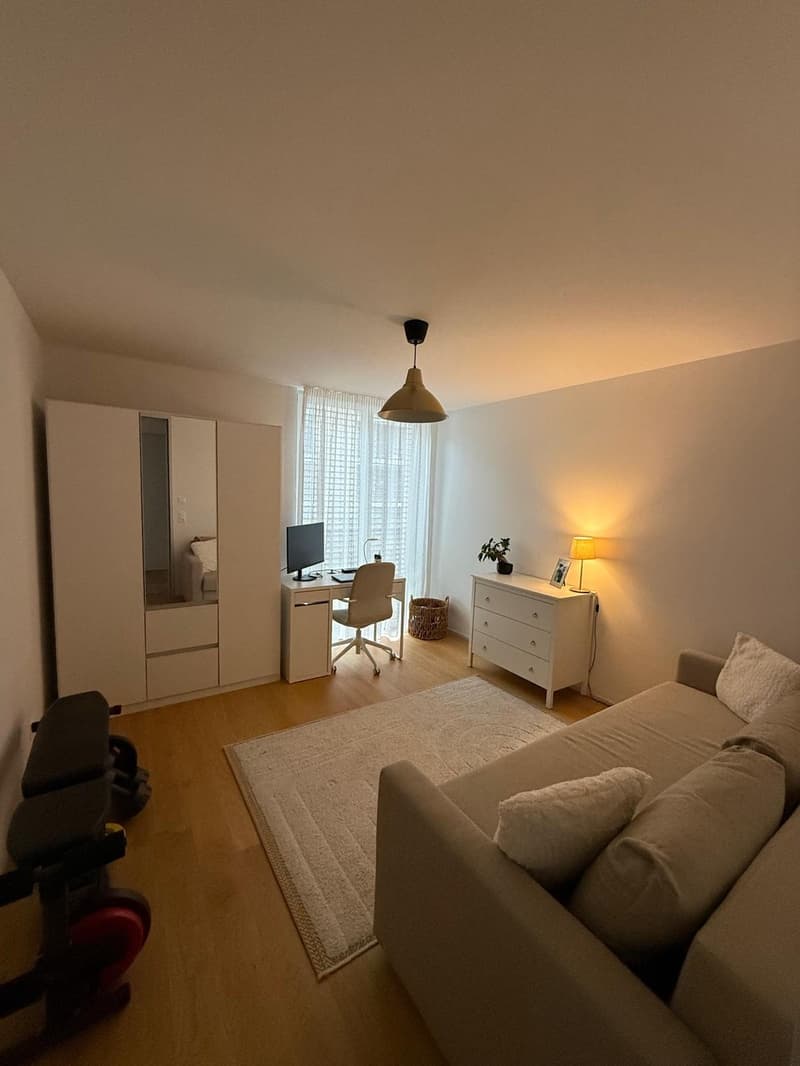 Beautiful 3.5 room apartment in Leimbach - book your spot at the viewing using the link in the description (4)