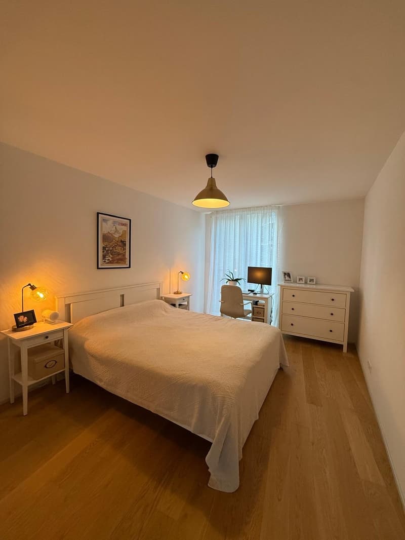 Beautiful 3.5 room apartment in Leimbach - book your spot at the viewing using the link in the description (2)