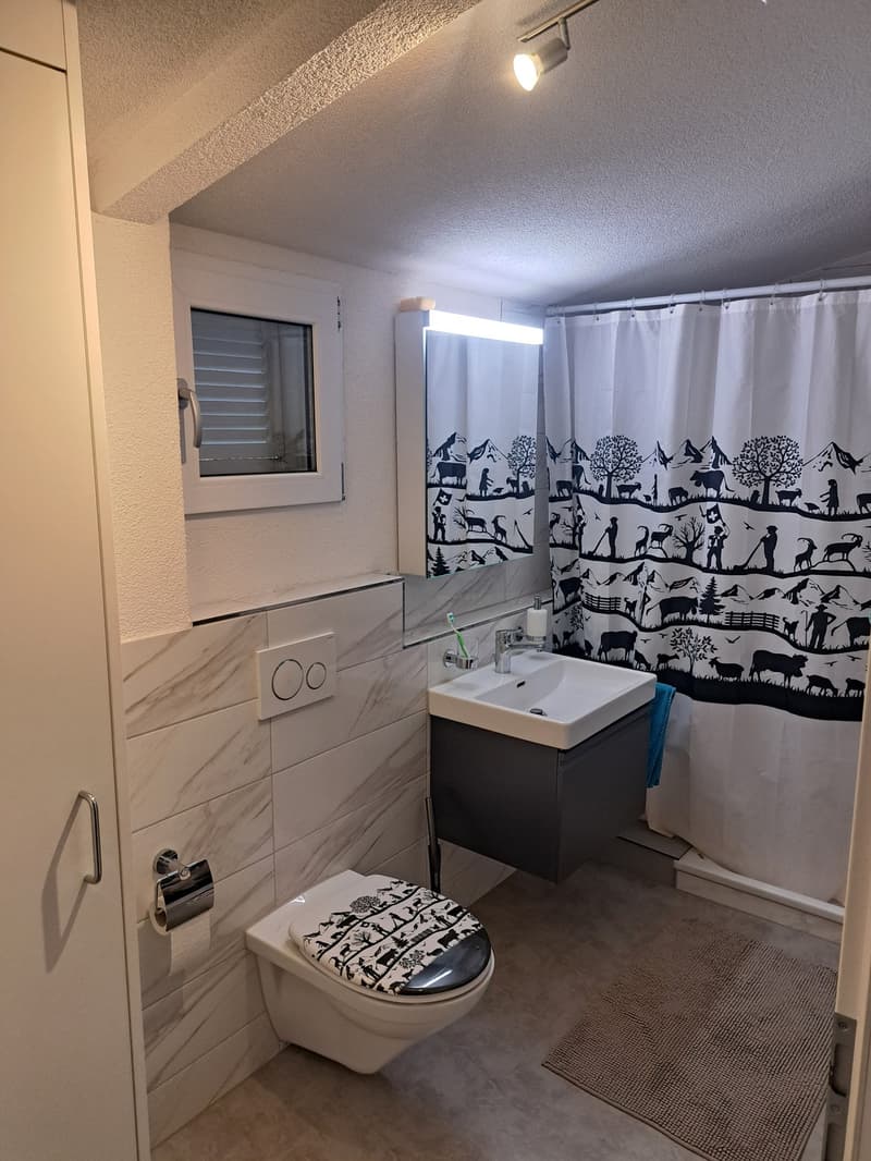2 1/2 Zimmer Wohnung mit 75m² (4)
