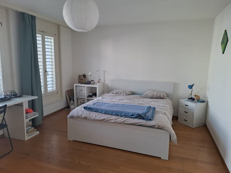 Temporary sublet/2.5 apartment in Lausanne city center/500CHF/week (4)