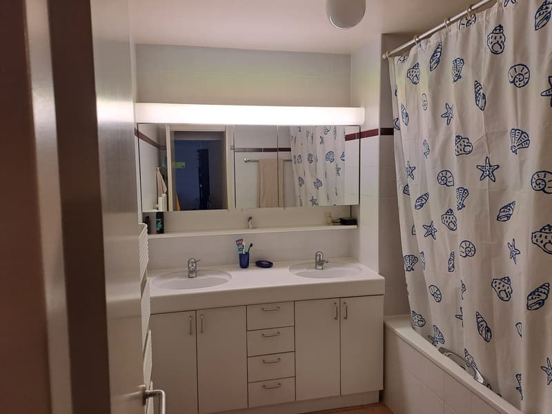Temporary sublet/2.5 apartment in Lausanne city center/500CHF/week (5)