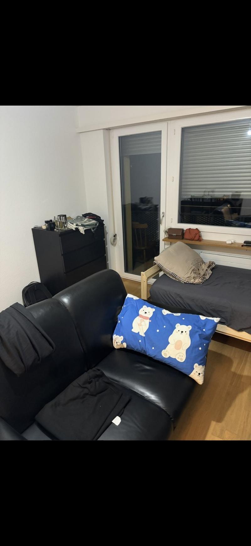 Studio 1.5 Zimmer  ab 1. September (3)