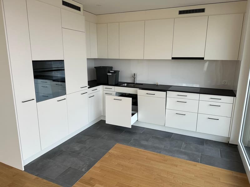 Appartamento 3 ½ locali, 8055 Zurich (4)