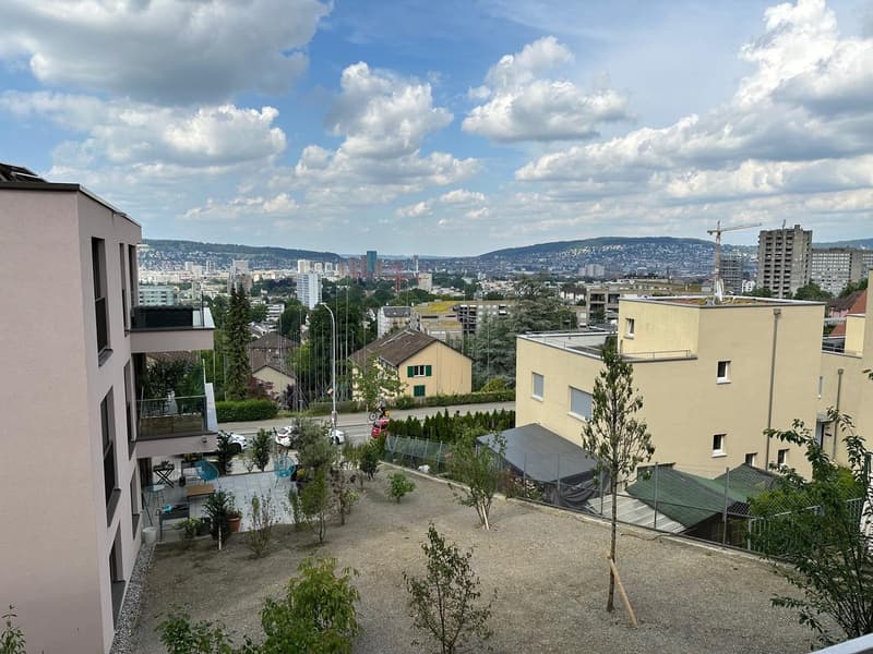Appartamento 3 ½ locali, 8055 Zurich (3)