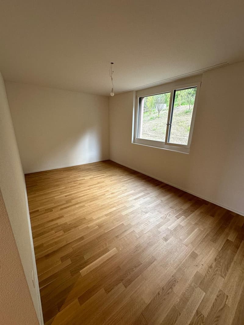 Appartamento 3 ½ locali, 8055 Zurich (6)