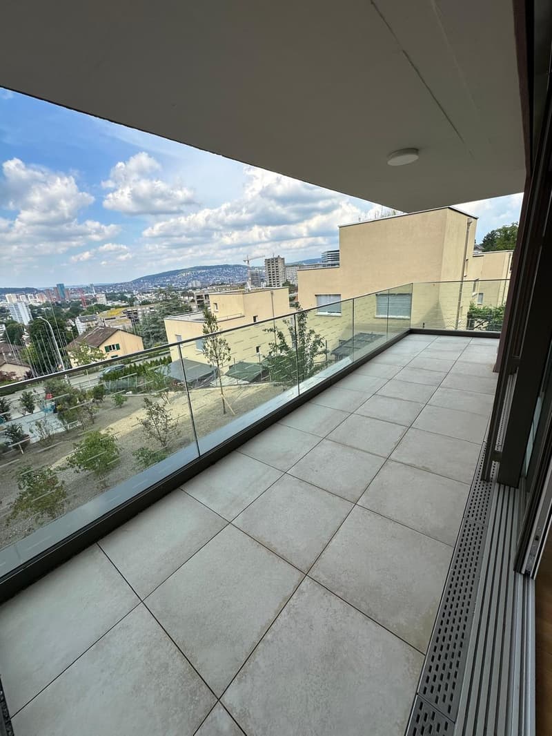 Appartamento 3 ½ locali, 8055 Zurich (2)