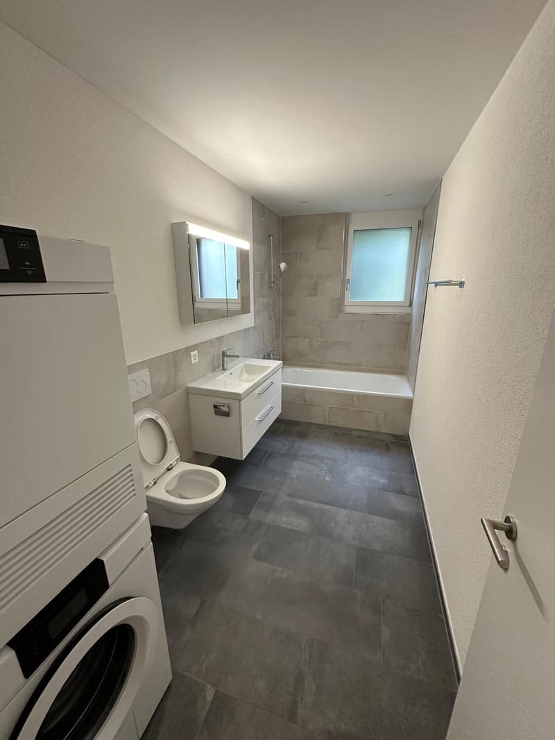 Appartamento 3 ½ locali, 8055 Zurich (7)